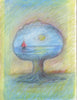 Arbre océan   -   Ocean tree